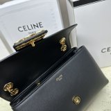 Best High Quality Celine Victoire Teen 7 Star 116593 Bag