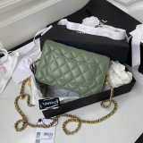 Replica 19CM Iridescent Wallet On Chain WOC AP1450 Bag