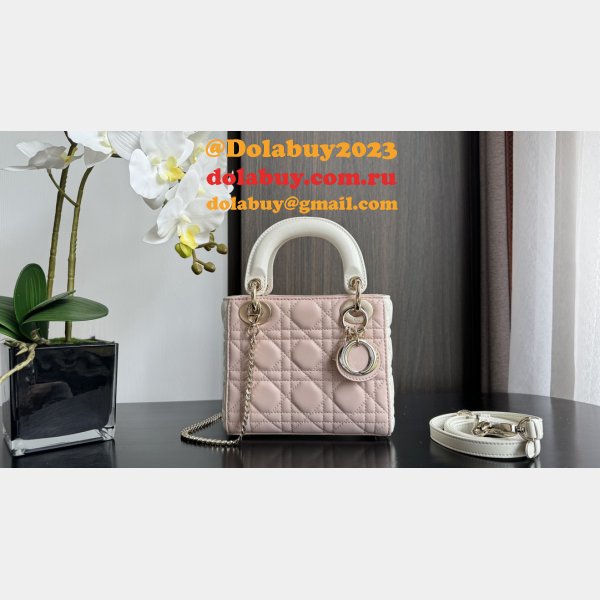 Perfect Quality Replica Christian Lady Dior 17/20cm Bags