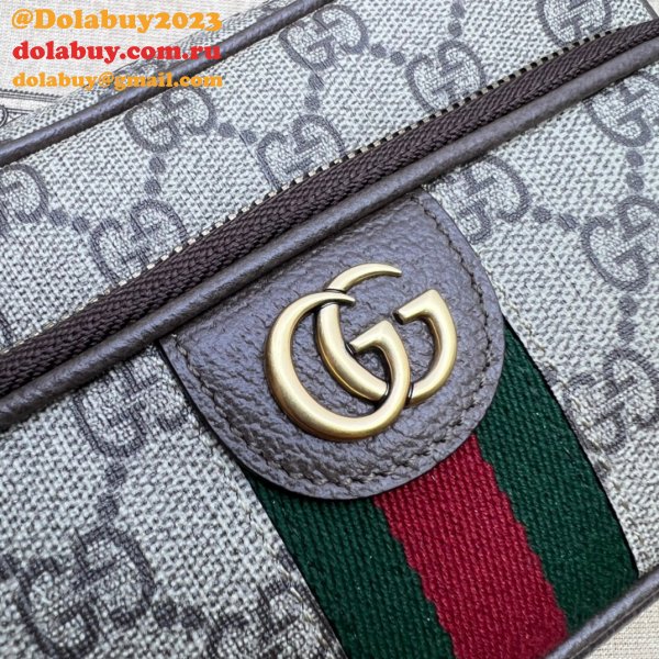 Brown/Blue Gucci Replica Ophidia GG 722557 Bag