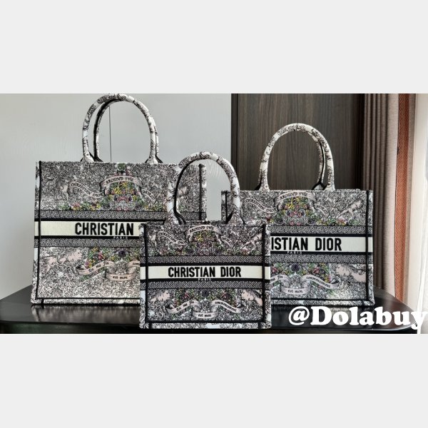 Replica Christian Dior Book Tote 2025 1:1 Mirror Bag